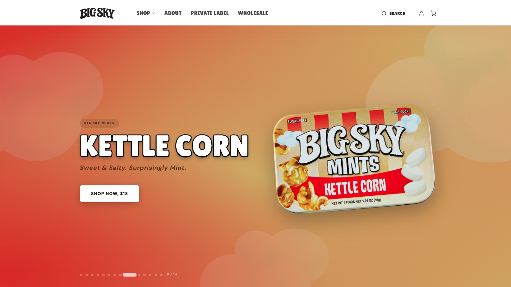 A snapshot of the big sky brands site.